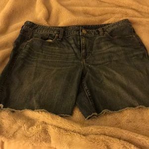 Loft Cutoff Denim Jean Shorts